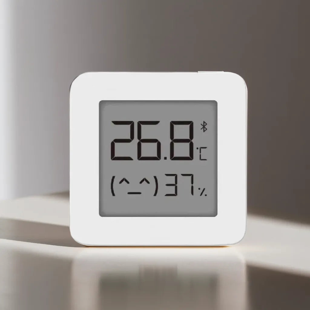 Thermomètre Numérique Bluetooth